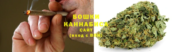 ECSTASY Богородск