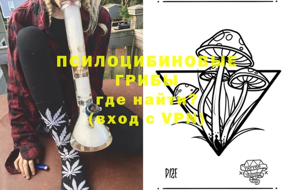 ECSTASY Богородск