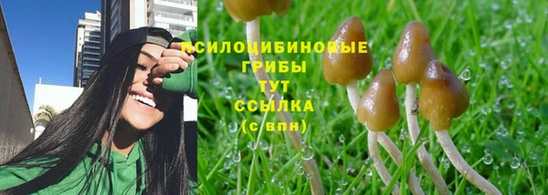 скорость Богданович