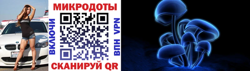 Купить где Гдов Галлюциногенные грибы Cubensis
