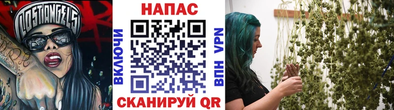 Купить где  Гдов  Бошки Шишки LSD WEED 